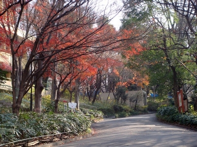 去日本工作需要有準備哪些材料？